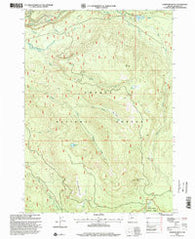 Garwood Butte Oregon Historical topographic map, 1:24000 scale, 7.5 X 7.5 Minute, Year 1998