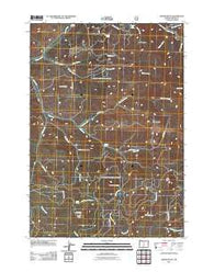 Gerow Butte Oregon Historical topographic map, 1:24000 scale, 7.5 X 7.5 Minute, Year 2011
