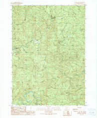 Golden Falls Oregon Historical topographic map, 1:24000 scale, 7.5 X 7.5 Minute, Year 1990