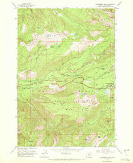 Government Camp Oregon Historical topographic map, 1:24000 scale, 7.5 X 7.5 Minute, Year 1962