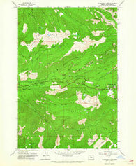 Government Camp Oregon Historical topographic map, 1:24000 scale, 7.5 X 7.5 Minute, Year 1962