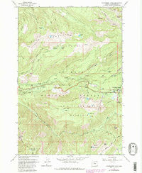 Government Camp Oregon Historical topographic map, 1:24000 scale, 7.5 X 7.5 Minute, Year 1962