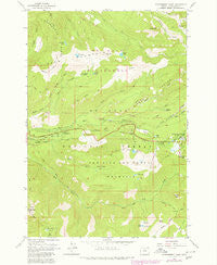 Government Camp Oregon Historical topographic map, 1:24000 scale, 7.5 X 7.5 Minute, Year 1980