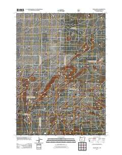 Grass Well Oregon Historical topographic map, 1:24000 scale, 7.5 X 7.5 Minute, Year 2011
