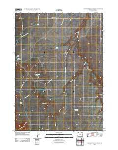 Grasshopper Flat South Oregon Historical topographic map, 1:24000 scale, 7.5 X 7.5 Minute, Year 2011