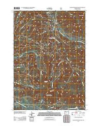 Grasshopper Mountain Oregon Historical topographic map, 1:24000 scale, 7.5 X 7.5 Minute, Year 2011