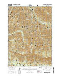 Grasshopper Mountain Oregon Current topographic map, 1:24000 scale, 7.5 X 7.5 Minute, Year 2014