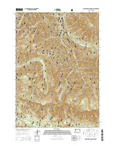 Grasshopper Mountain Oregon Current topographic map, 1:24000 scale, 7.5 X 7.5 Minute, Year 2014