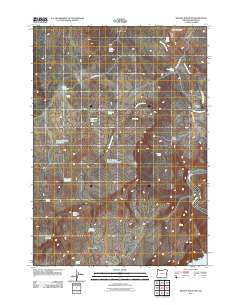 Grassy Mountain Oregon Historical topographic map, 1:24000 scale, 7.5 X 7.5 Minute, Year 2011