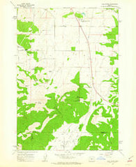 Gray Butte Oregon Historical topographic map, 1:24000 scale, 7.5 X 7.5 Minute, Year 1962