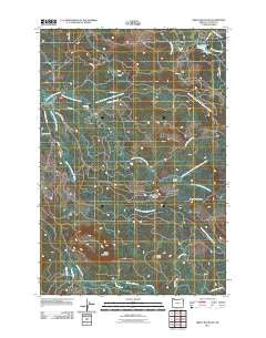 Green Mountain Oregon Historical topographic map, 1:24000 scale, 7.5 X 7.5 Minute, Year 2011