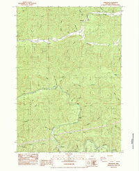 Greenleaf Oregon Historical topographic map, 1:24000 scale, 7.5 X 7.5 Minute, Year 1984