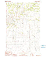 Greenwood Butte Oregon Historical topographic map, 1:24000 scale, 7.5 X 7.5 Minute, Year 1990