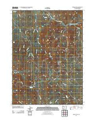 Grizzly Peak Oregon Historical topographic map, 1:24000 scale, 7.5 X 7.5 Minute, Year 2011
