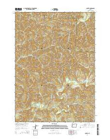 Gunter Oregon Current topographic map, 1:24000 scale, 7.5 X 7.5 Minute, Year 2014