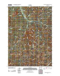 Harness Mountain Oregon Historical topographic map, 1:24000 scale, 7.5 X 7.5 Minute, Year 2011