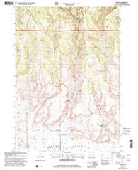 Harney Oregon Historical topographic map, 1:24000 scale, 7.5 X 7.5 Minute, Year 1999
