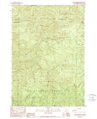 Harvey Mountain Oregon Historical topographic map, 1:24000 scale, 7.5 X 7.5 Minute, Year 1989