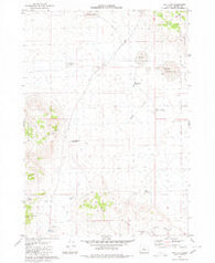 Hay Lake Oregon Historical topographic map, 1:24000 scale, 7.5 X 7.5 Minute, Year 1980