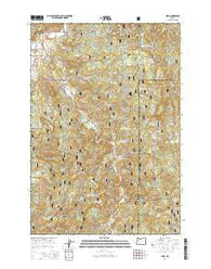 Hebo Oregon Current topographic map, 1:24000 scale, 7.5 X 7.5 Minute, Year 2014