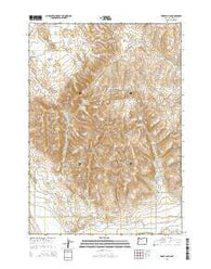 Henry Gulch Oregon Current topographic map, 1:24000 scale, 7.5 X 7.5 Minute, Year 2014
