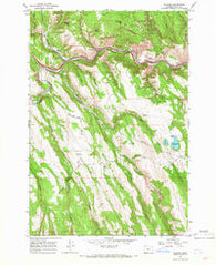 Hilgard Oregon Historical topographic map, 1:24000 scale, 7.5 X 7.5 Minute, Year 1963