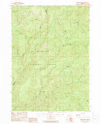 Hobson Horn Oregon Historical topographic map, 1:24000 scale, 7.5 X 7.5 Minute, Year 1989