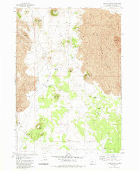 Hogback Butte Oregon Historical topographic map, 1:24000 scale, 7.5 X 7.5 Minute, Year 1981