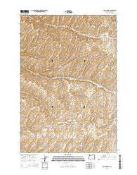 Holdman SE Oregon Current topographic map, 1:24000 scale, 7.5 X 7.5 Minute, Year 2014