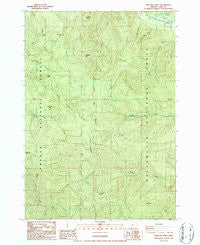 Holland Point Oregon Historical topographic map, 1:24000 scale, 7.5 X 7.5 Minute, Year 1986