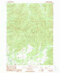 Holland Oregon Historical topographic map, 1:24000 scale, 7.5 X 7.5 Minute, Year 1989