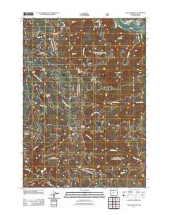 Holland Point Oregon Historical topographic map, 1:24000 scale, 7.5 X 7.5 Minute, Year 2011