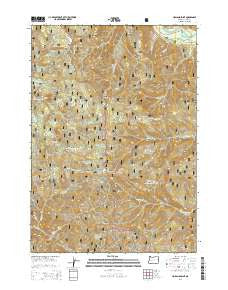 Holland Point Oregon Current topographic map, 1:24000 scale, 7.5 X 7.5 Minute, Year 2014