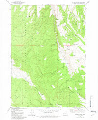 Holmes Canyon Oregon Historical topographic map, 1:24000 scale, 7.5 X 7.5 Minute, Year 1981