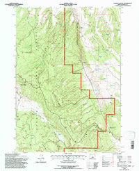 Holmes Canyon Oregon Historical topographic map, 1:24000 scale, 7.5 X 7.5 Minute, Year 1992