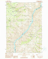 Homestead Oregon Historical topographic map, 1:24000 scale, 7.5 X 7.5 Minute, Year 1990
