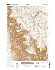 Hoppin Springs Oregon Current topographic map, 1:24000 scale, 7.5 X 7.5 Minute, Year 2014