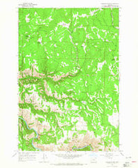 Howard Butte Oregon Historical topographic map, 1:24000 scale, 7.5 X 7.5 Minute, Year 1964