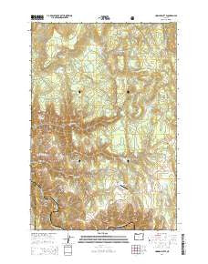 Howard Butte Oregon Current topographic map, 1:24000 scale, 7.5 X 7.5 Minute, Year 2014