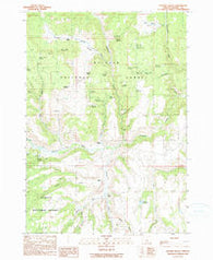 Hughet Valley Oregon Historical topographic map, 1:24000 scale, 7.5 X 7.5 Minute, Year 1990