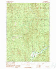 Illahe Oregon Historical topographic map, 1:24000 scale, 7.5 X 7.5 Minute, Year 1989