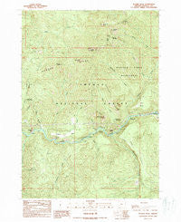 Illahee Rock Oregon Historical topographic map, 1:24000 scale, 7.5 X 7.5 Minute, Year 1989