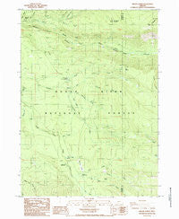 Imnaha Creek Oregon Historical topographic map, 1:24000 scale, 7.5 X 7.5 Minute, Year 1985