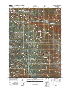 Imnaha Creek Oregon Historical topographic map, 1:24000 scale, 7.5 X 7.5 Minute, Year 2011