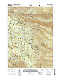 Imnaha Creek Oregon Current topographic map, 1:24000 scale, 7.5 X 7.5 Minute, Year 2014