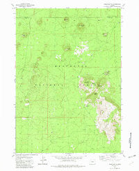 Indian Butte Oregon Historical topographic map, 1:24000 scale, 7.5 X 7.5 Minute, Year 1982