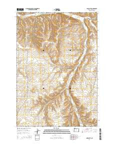 Ione South Oregon Current topographic map, 1:24000 scale, 7.5 X 7.5 Minute, Year 2014