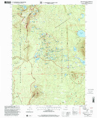 Irish Mountain Oregon Historical topographic map, 1:24000 scale, 7.5 X 7.5 Minute, Year 1997