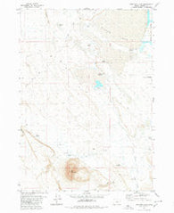 Iron Mtn. Flat Oregon Historical topographic map, 1:24000 scale, 7.5 X 7.5 Minute, Year 1980