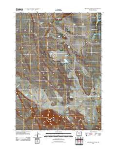 Iron Mountain Flat Oregon Historical topographic map, 1:24000 scale, 7.5 X 7.5 Minute, Year 2011